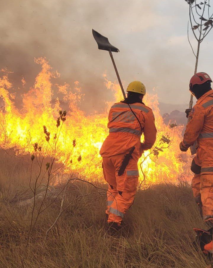 Incêndios em MG: Bombeiros registram quase 500 queimadas em vegetação neste final de semana