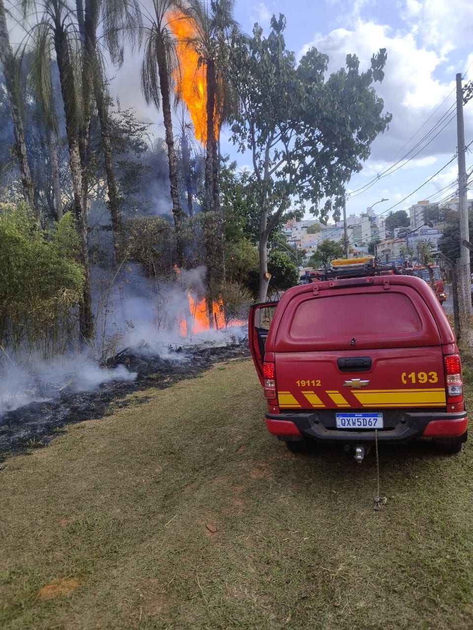 Vídeo: incêndio atinge mata em frente ao prédio do curso de veterinária na UFMG