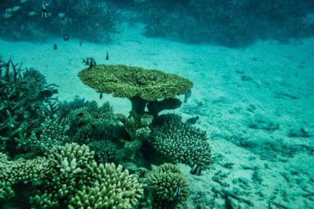 Descoberta no fundo do mar