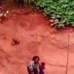 Vídeo: piloto usa drone para assustar moradores de zona rural, e ação é alvo de críticas na internet