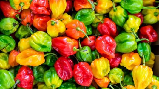 Pimenta é um alimento que pode aumentar inflamações, explica médica