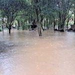 Chuvas no RS: temporais deixam aldeias alagadas e indígenas ilhados