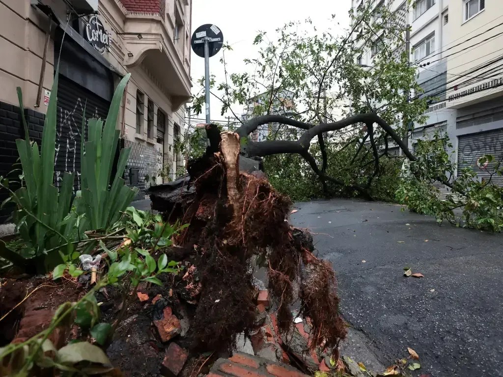 Vendaval: veja quais são as cidades de MG no alerta do Inmet