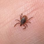 Legista aponta que homem encontrado morto cheio de piolhos em prisão dos EUA foi vítima de negligência