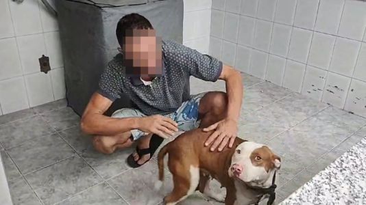 Foto mostra pitbull com o tutor em Juiz de Fora