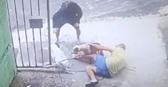 Foto mostra homem tentando impedir que cadela fosse atacada por pitbull