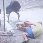Vídeo: morador rola no chão e agarra pitbull para salvar cadela de ataque em MG