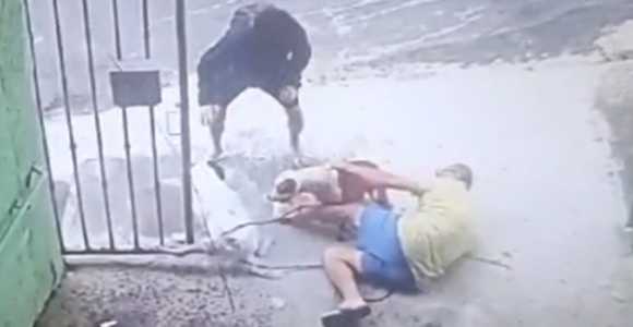 Foto mostra homem tentando impedir que cadela fosse atacada por pitbull