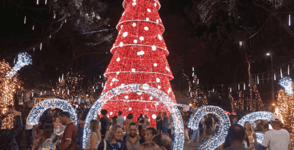 Arvore de natal