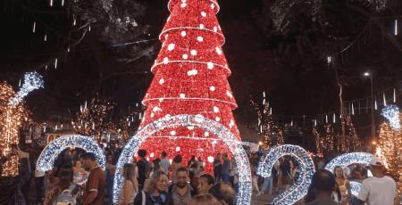 Arvore de natal