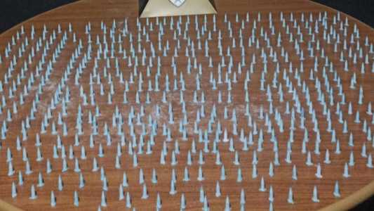 Polícia apreendeu 600 pinos de cocaína com a suspeita, em Santa Luzia