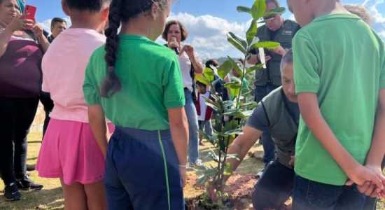 O programa foi apresentado pela PBH na abertura da Semana do Meio Ambiente juntamente com o ProAr e o Escola Verde, iniciativas articuladas de sustentabilidade na capital mineira