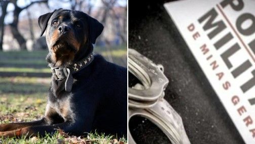 Ladrão tenta roubar casa de PM em BH, é atacado por rottweiler e baleado