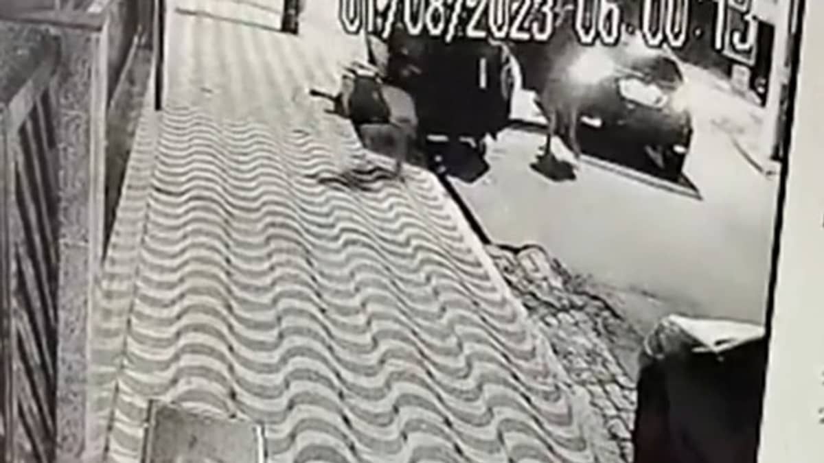 Número de mortos em ações policiais na Baixada Santista sobe para 13