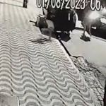 Número de mortos em ações policiais na Baixada Santista sobe para 13