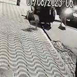 Número de mortos em ações policiais na Baixada Santista sobe para 13