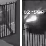 Vídeo: policiais matam moradores em situação de rua em frente a abrigo em MT