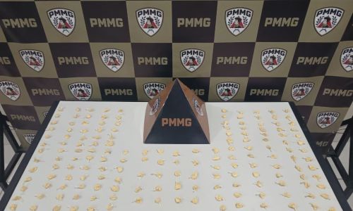 PMMG aprendeu droga em Muriaé