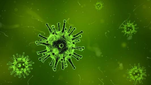 Pnuma quer reduzir poluição para combater resistência antimicrobiana