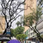 Chove neste domingo em BH? Confira previsão do tempo