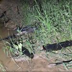 PCC e Comando Vermelho 'recusaram' armas do exército por estarem mal conservadas 