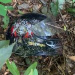 Polícia Civil indicia dois pela morte de homem que cobrava dívida na Grande BH