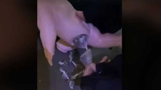 Polícia do Ceará captura dupla que traficava drogas dentro de bonecas, confira as imagens.