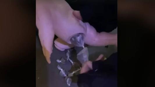 Polícia do Ceará captura dupla que traficava drogas dentro de bonecas, confira as imagens.