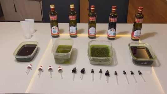 Polícia do Rio prende quadrilha que vendia laudos para cultivo de maconha.