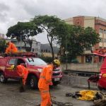 Bombeiros buscam corpo de homem no Rio Arrudas, no Centro de BH 