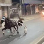 Polícia investiga vídeos virais de corrida de cavalos no Rio de Janeiro