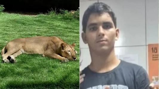 Polícia nega falha de segurança em zoológico após morte de 'Vaqueirinho' em jaula de leoa
