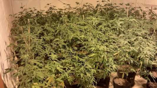 Polícia prende duas pessoas em local utilizado para produção da droga K9 em SP.