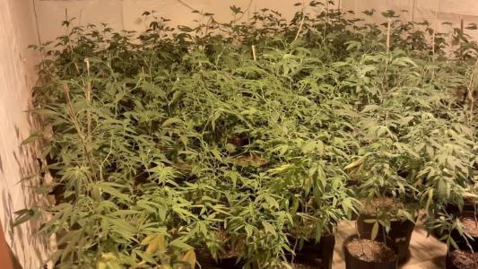 Polícia prende duas pessoas em local utilizado para produção da droga K9 em SP.