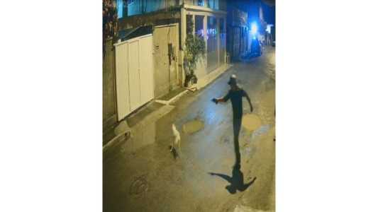 Polícia prende homem que matou cachorro do vizinho com quatro tiros, no RJ