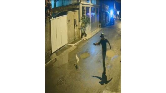 Polícia prende homem que matou cachorro do vizinho com quatro tiros, no RJ
