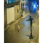 Polícia prende homem que matou cachorro do vizinho com quatro tiros, no RJ
