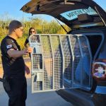 'Estelionatário do amor' é preso por enganar vítimas e leva R$ 300 mil   