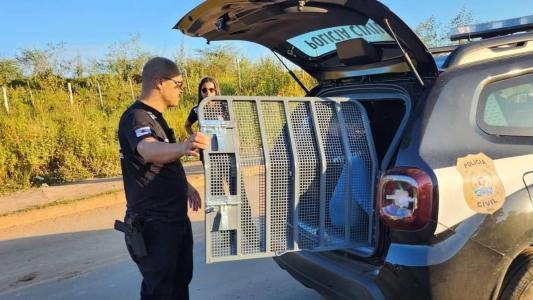 Polícia prende suspeito em Sarzedo, na região metropolitana de Belo Horizonte
