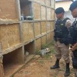 Suspeitos de enterrar mulher viva em MG planejavam fuga para RJ