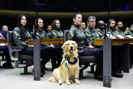 Policiais legislativos da Câmara dos Deputados em sessão de homenagem