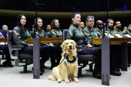 Policiais legislativos da Câmara dos Deputados em sessão de homenagem