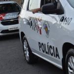 Cinco estrangeiros são presos por furtos em carros estacionados, em SP