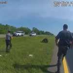 Policial usa cachorro para atacar homem negro já rendido nos EUA