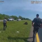 Policial usa cachorro para atacar homem negro já rendido nos EUA