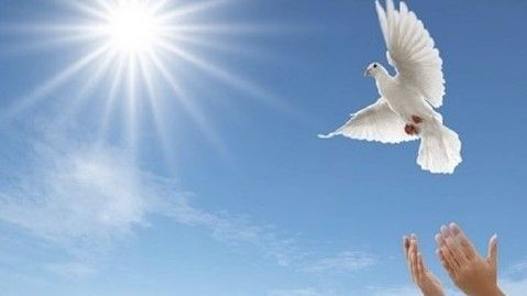 É preciso voltar a escutar os pássaros