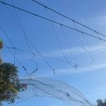 Comunidade ribeirinha cobra reconstrução de ponte derrubada pelas chuvas em 2021: 'precisamos caminhar 5 quilômetros'