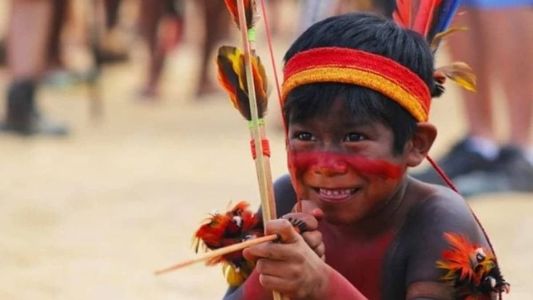 População indígena corresponde a 0,8% do Brasil
