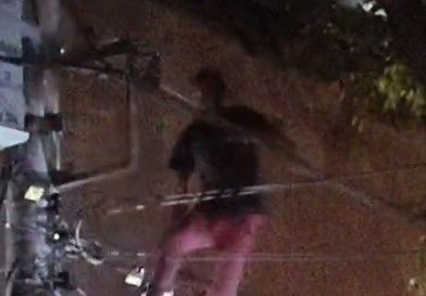 Vídeo: ladrão caminha um quarteirão sobre fios para fugir da PM em BH