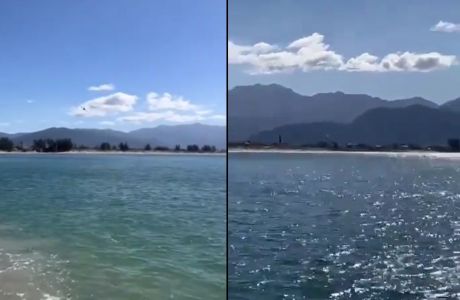 Vídeo: Avião de pequeno porte faz pouso de emergência em Palhoça (SC) | CNN Brasil